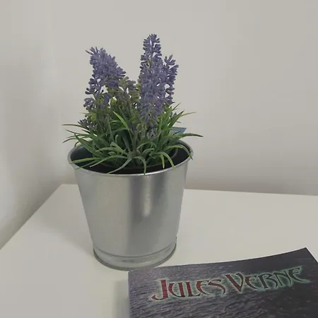 Daire Comfort Lovely Diva 2, Ciovo, Okrug